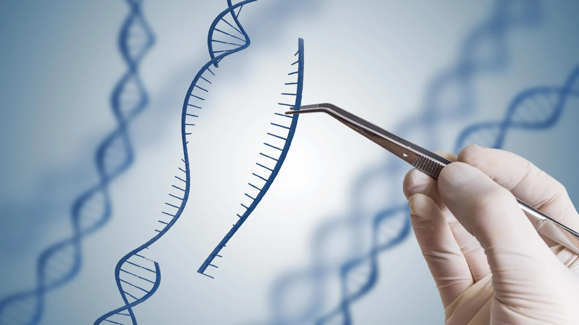 new-tool-for-cutting-dna:-promising-prospects-for-biotechnology