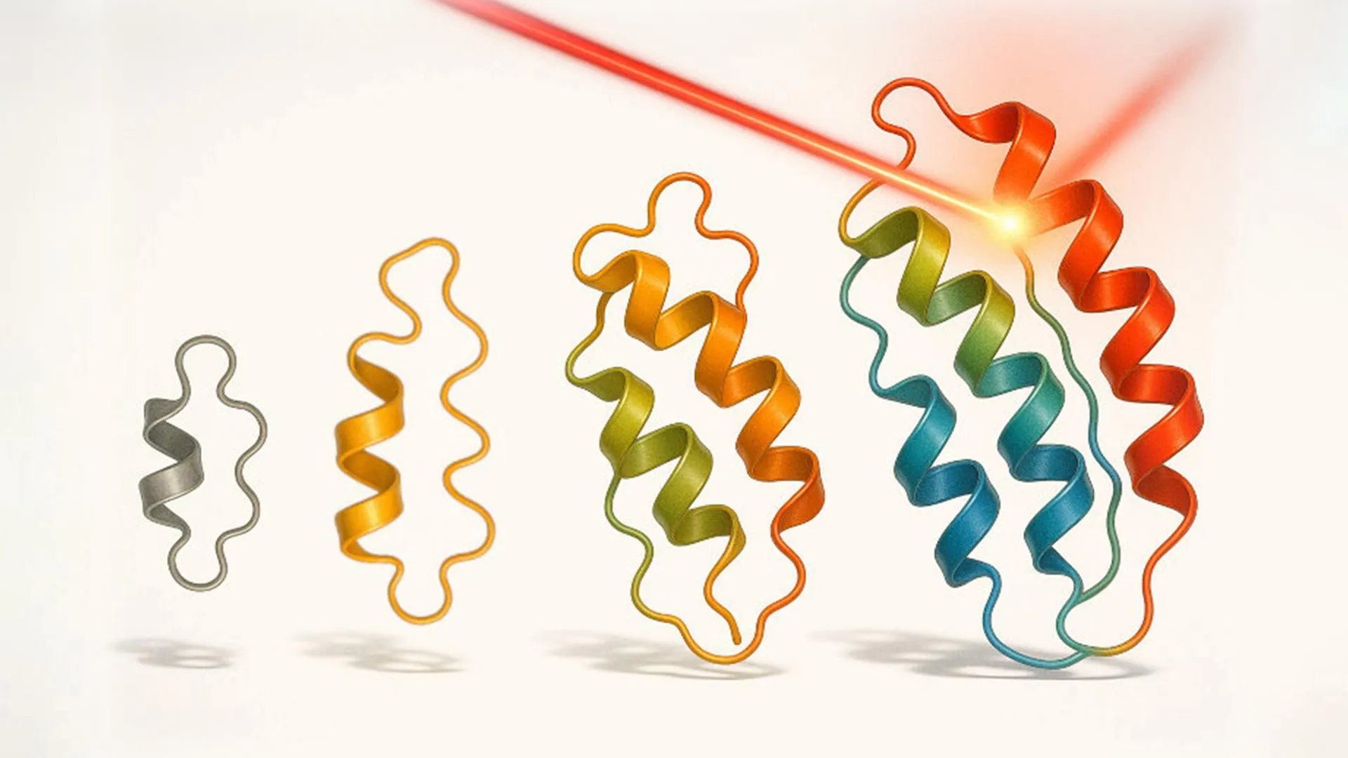 light-guided-evolution-creates-proteins-that-can-switch,-sense,-and-compute