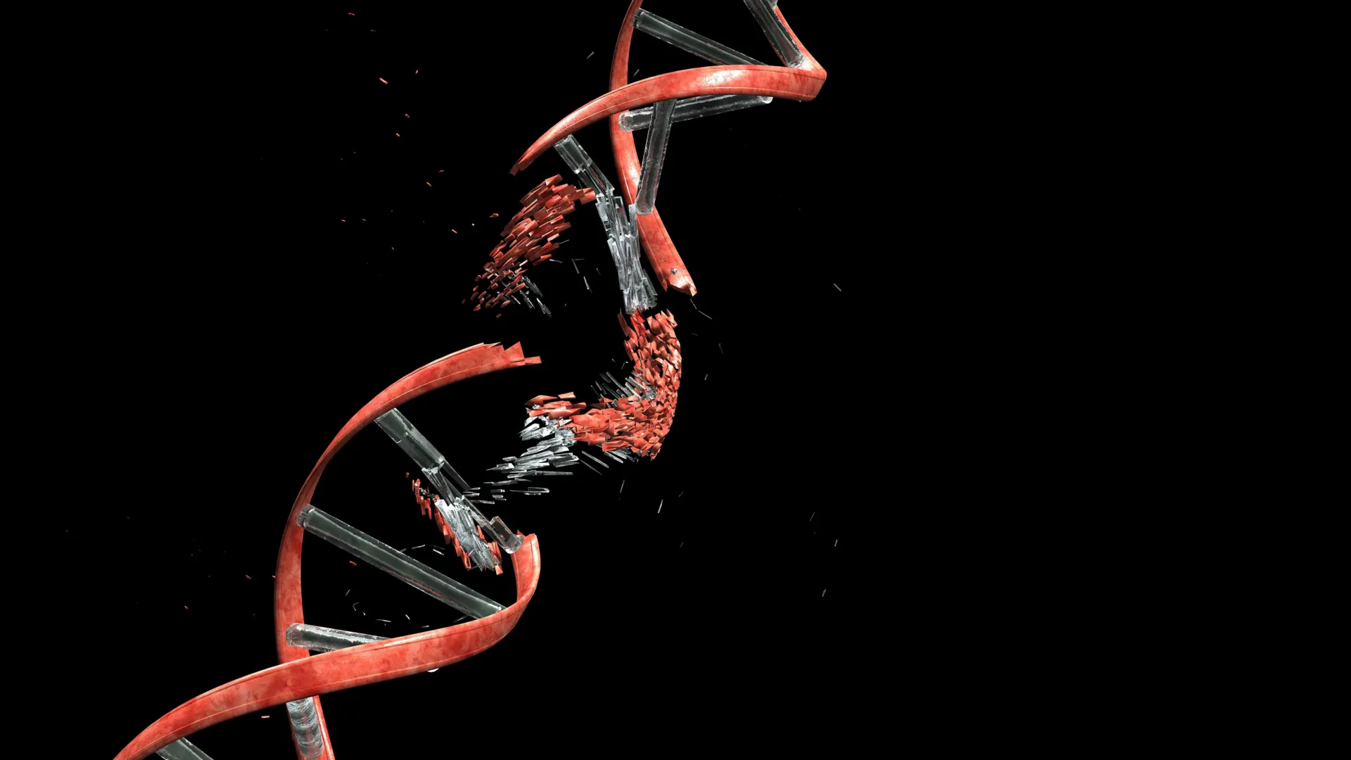 the-4x-rule:-why-some-people’s-dna-is-more-unstable-than-others