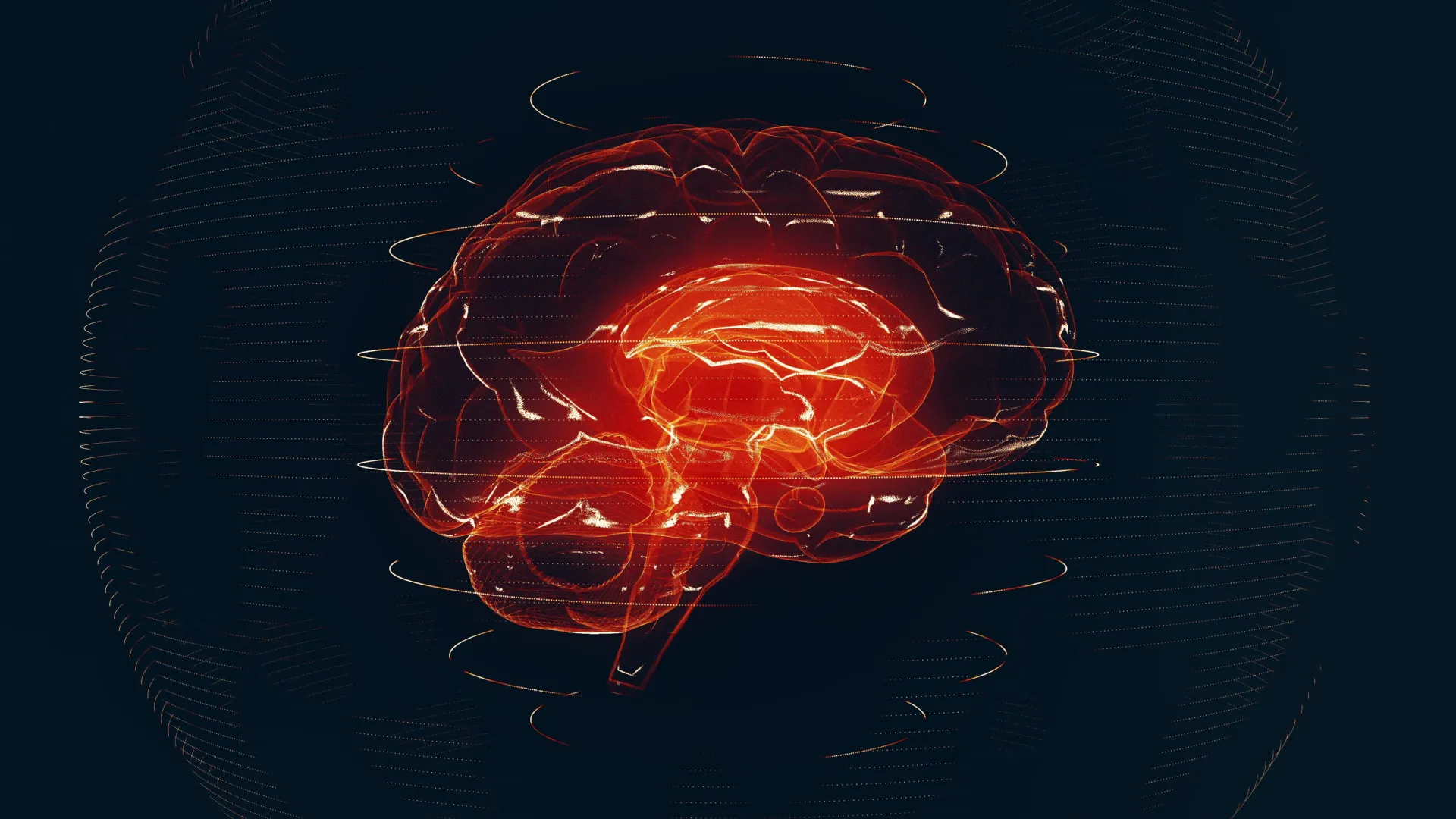 ai-reads-brain-mris-in-seconds-and-flags-emergencies