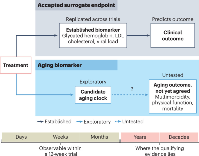 proteomic-aging-clocks-go-to-trial