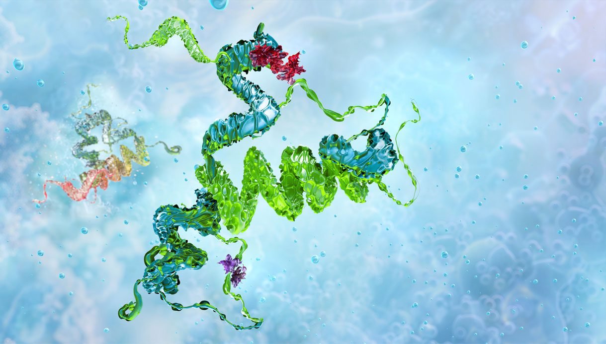 Science Speeds Up Its Fight Against Prions