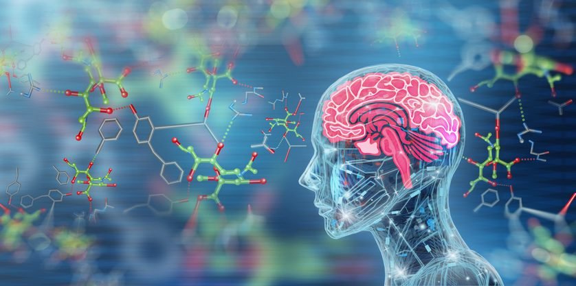 alzheimer’s-small-molecule-therapy-shows-promise-in-mice-and-early-human-trial