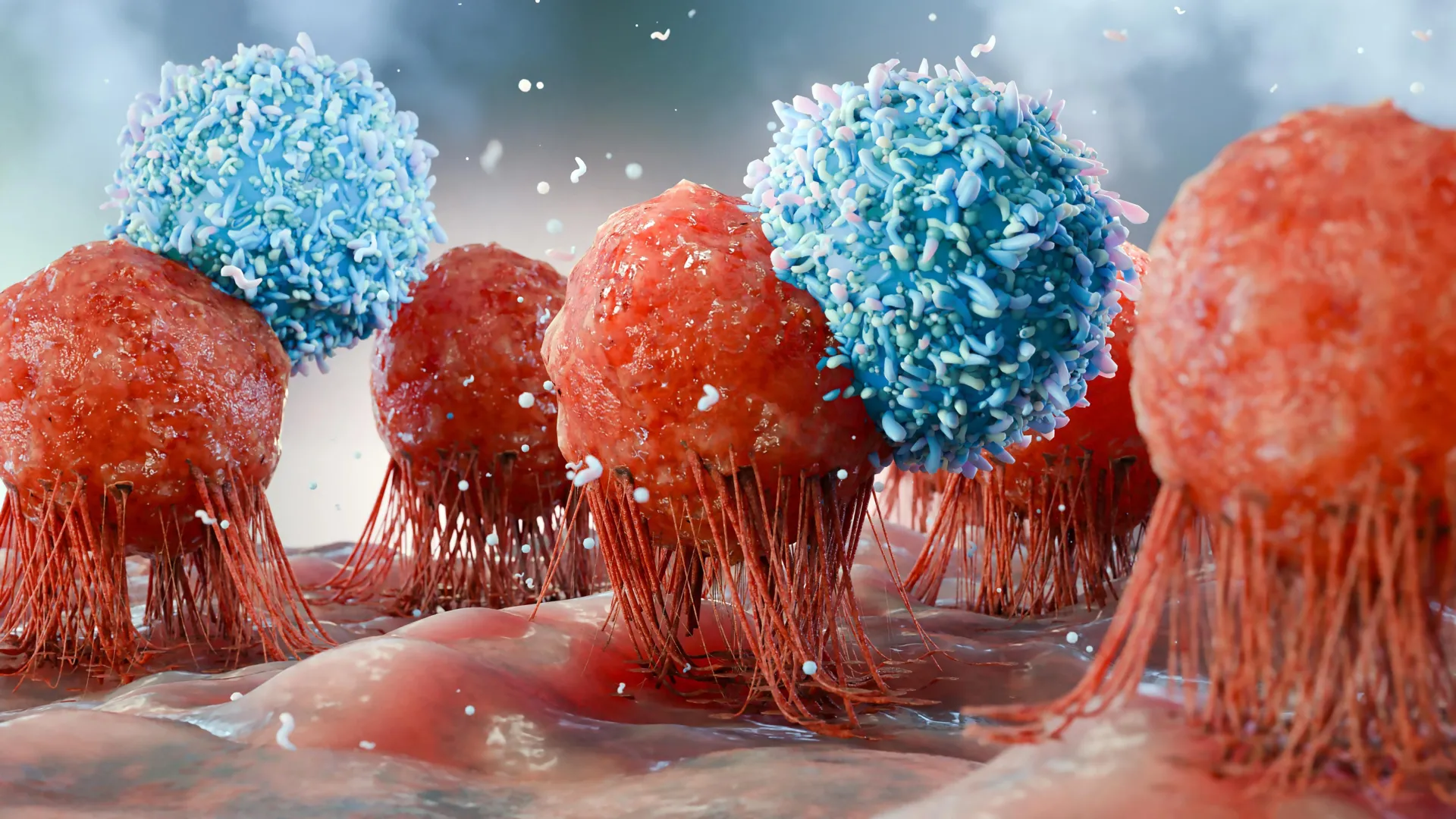 Cancer-fighting t cells burn out. Scientists may have found a fix